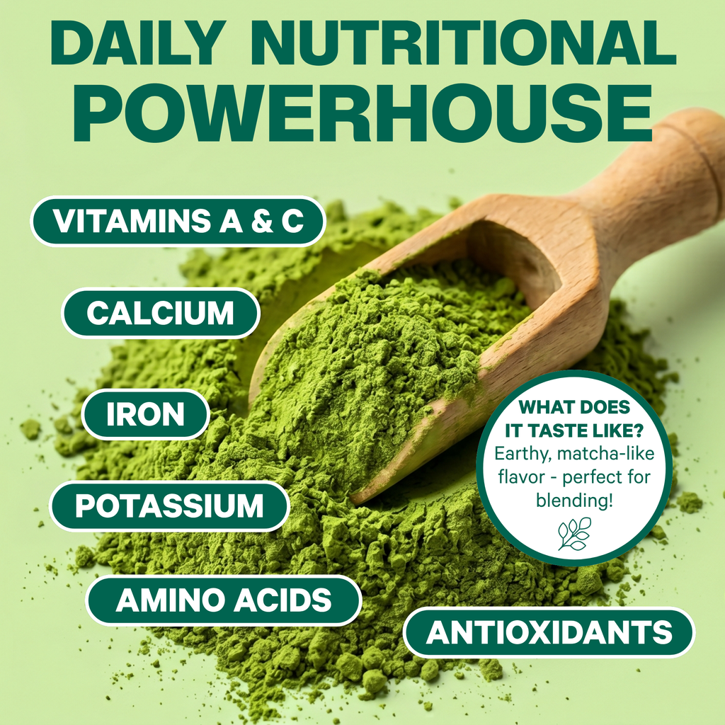 Organic Pure Moringa Powder (10.6 oz)